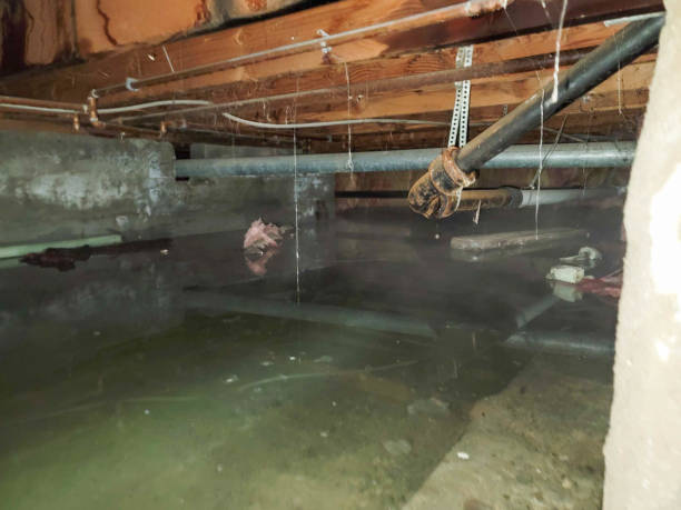 Best Sewage cleanup and water damage restoration  in Helena Valley Northwest, MT