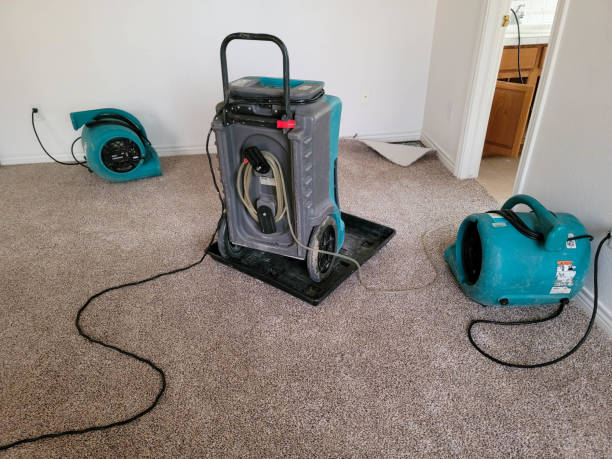 Best Basement water damage restoration  in Helena Valley Northwest, MT