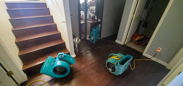 Best Mold removal after water damage  in Helena Valley Northwest, MT