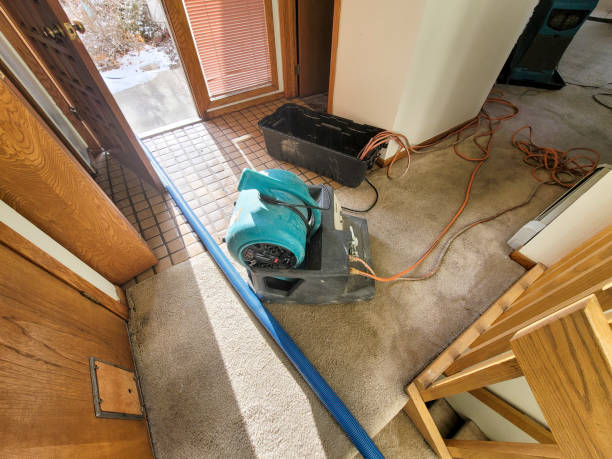 Best Flood restoration services  in Helena Valley Northwest, MT