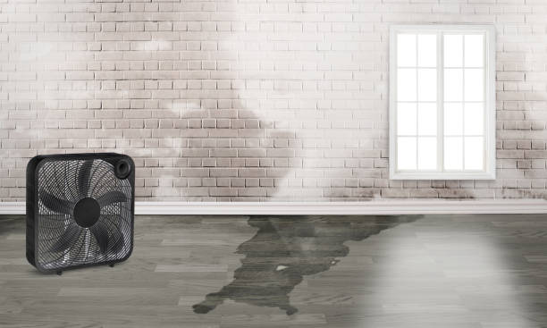 Trusted Helena Valley Northwest, MT Water damage restoration Experts