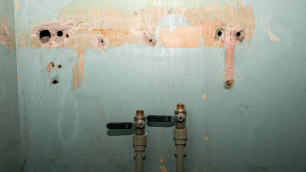 Best Sewage cleanup and water damage restoration  in Helena Valley Northwest, MT