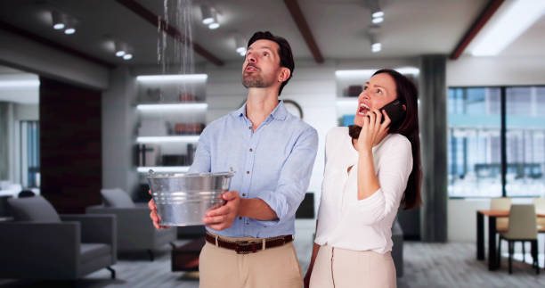 Best Basement water damage restoration  in Helena Valley Northwest, MT